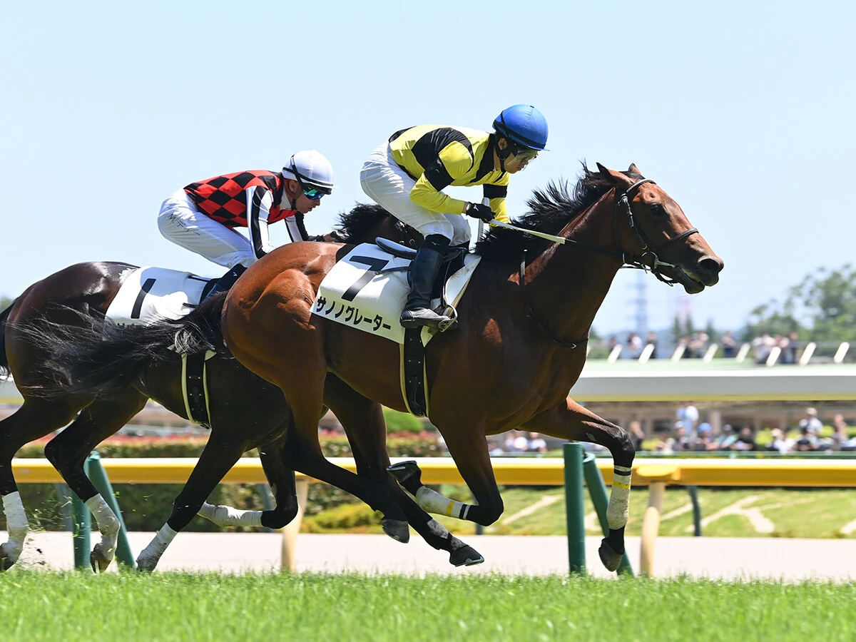 【競馬予想】新潟２歳Ｓは素質馬２頭が有力も、穴党記者は異なる展開で浮上する伏兵２頭に熱視線