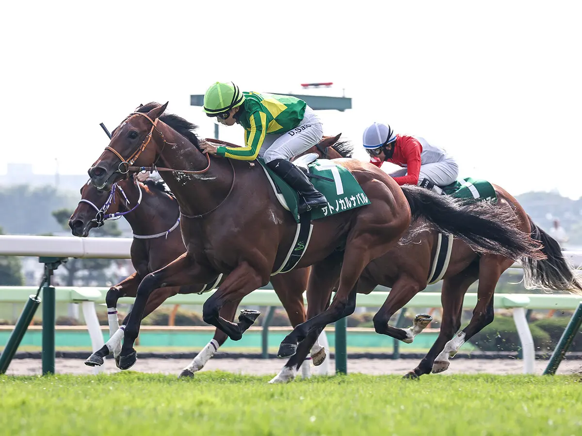 【競馬予想】NHKマイルＣは高配当ゲットのチャンス！　２歳時に重賞を制した実績馬２頭が本領発揮
