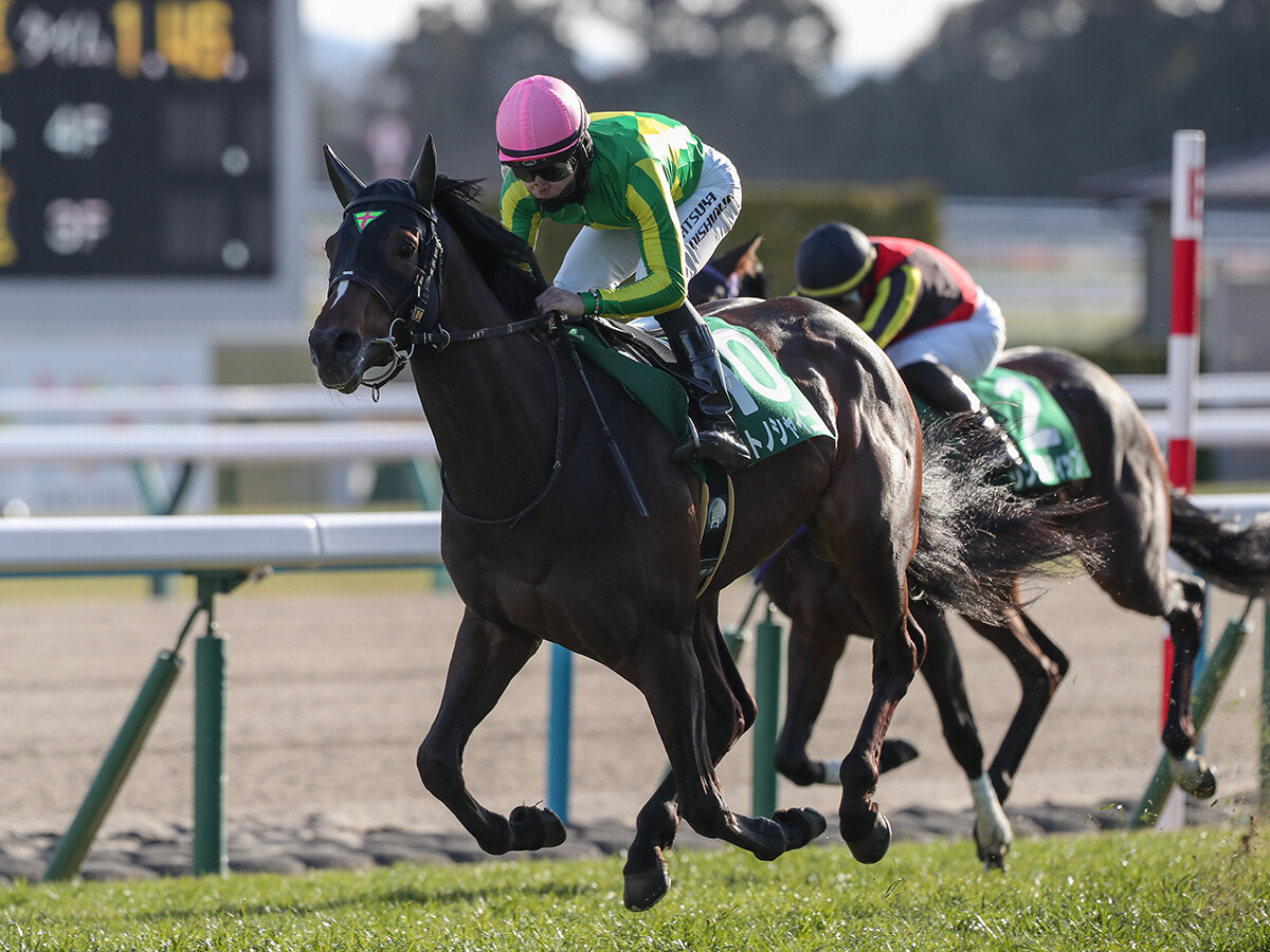 【競馬予想】クロワデュノールは本当に鉄板か!?　皐月賞、ダービーの行方も占う「３歳牡馬ランキング」