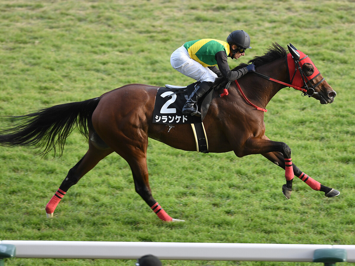 【競馬予想】別定戦となった新潟記念は豪華メンバーが集結　充実の５歳牝馬に一発の期待