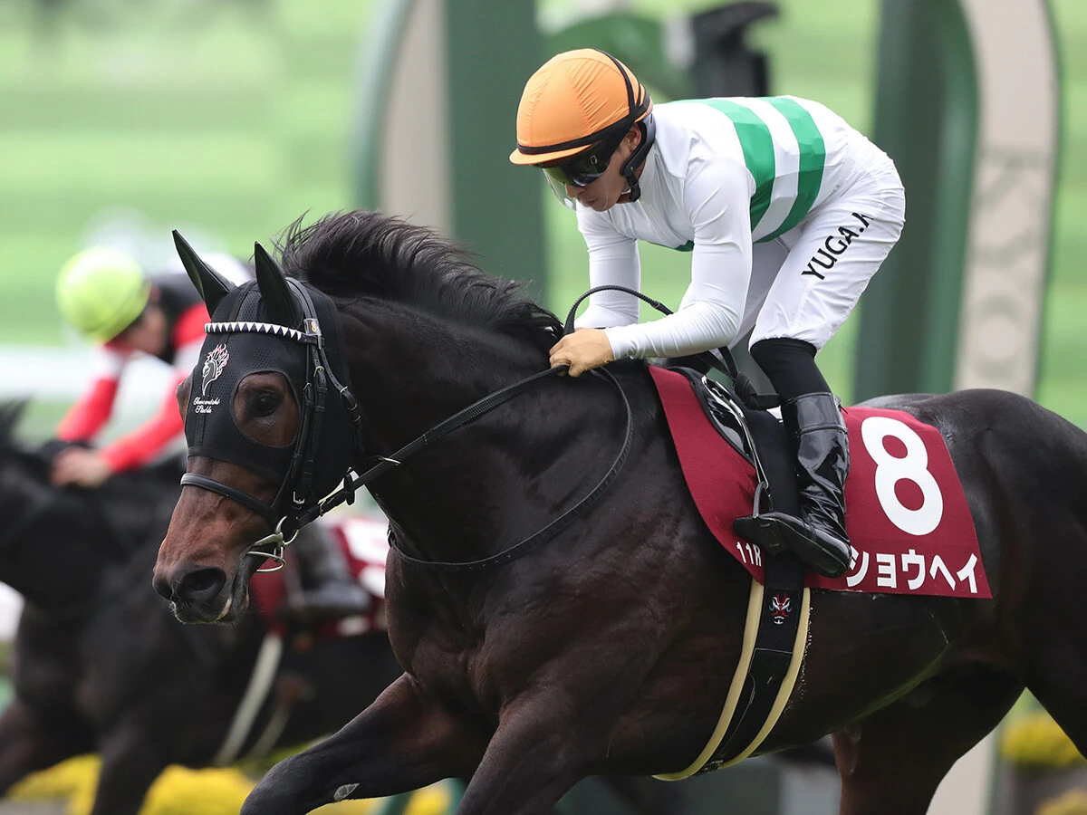 【競馬予想】ダービーは意外と「荒れる」　高配当の使者は皐月賞組ではなく別路線組にいる!?