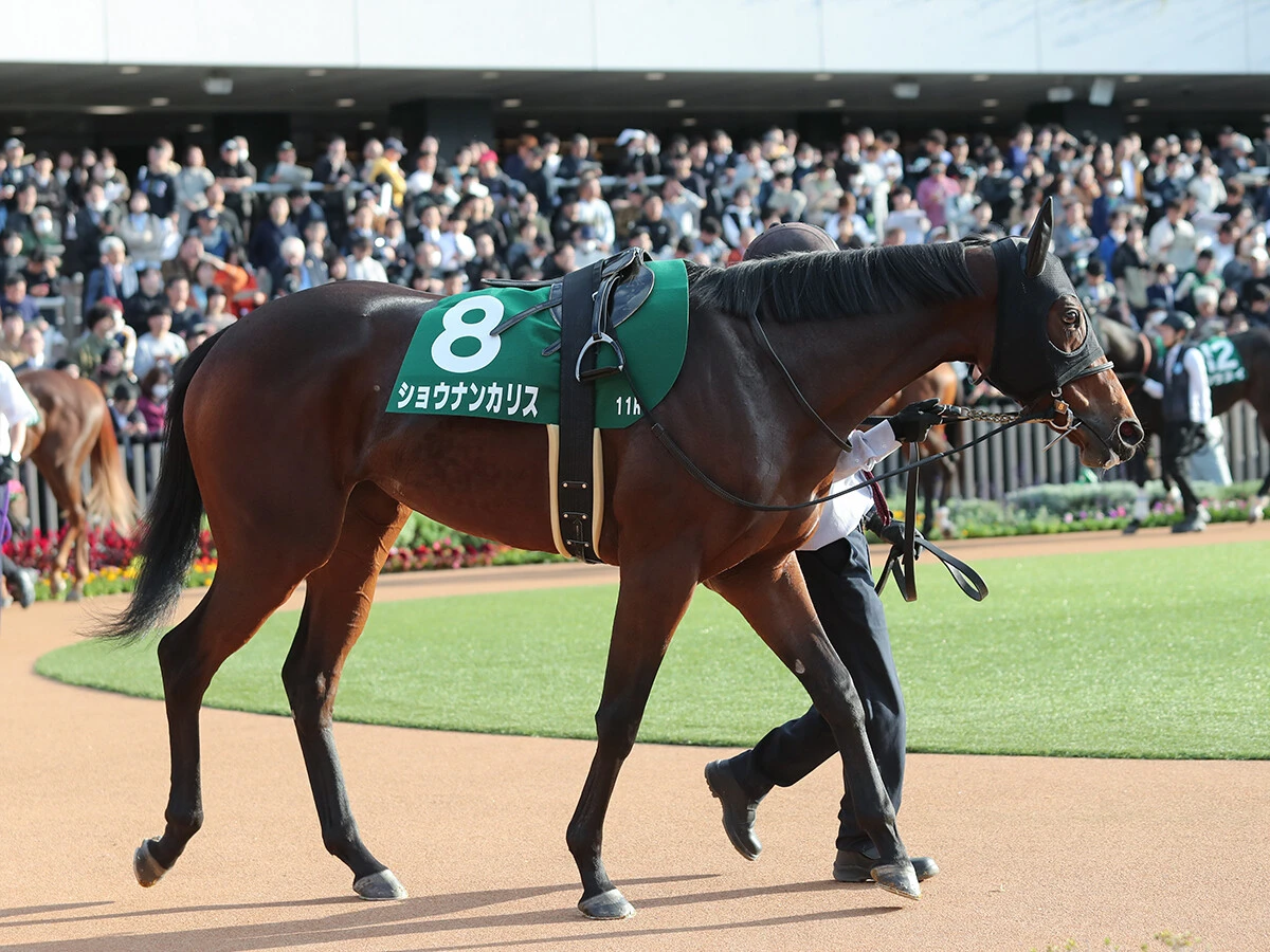 【競馬予想】波乱ムードが充満している阪神JF　穴党記者が密かに一発を期待している人気薄２頭