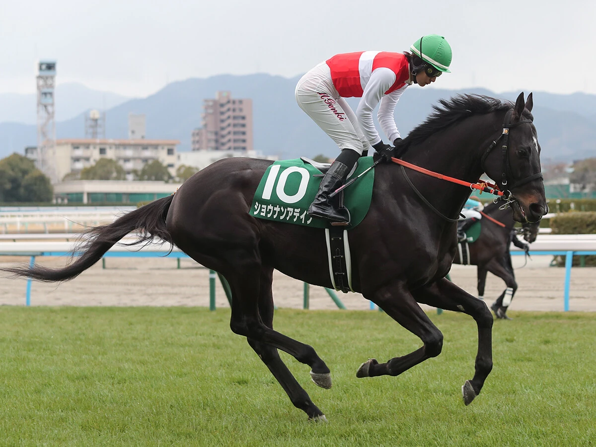 【競馬予想】激しいレースが予想される小倉記念は、しぶとい脚を秘めた伏兵２頭に要注意