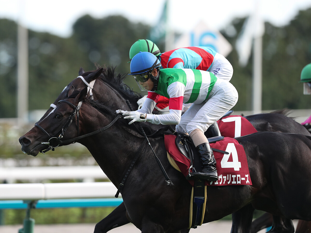 【競馬予想】大波乱もある天皇賞・春は穴党の出番　人気落ち実力馬２頭が高配当を演出か