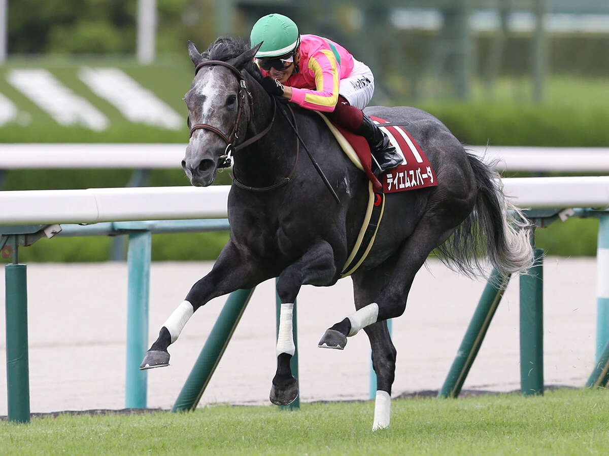 【競馬予想】スピード決着必至のセントウルＳで狙える穴馬２頭　人気急落の実績馬が高配当を演出か