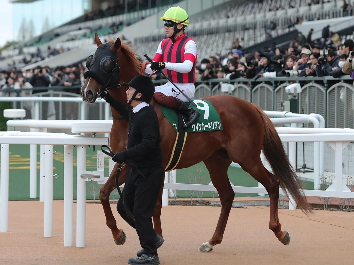 【競馬予想】豪華メンバーが集結したスプリンターズＳ　人気勢の影に隠れた実力馬２頭の一発に期待