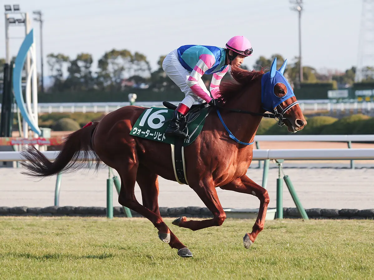 【競馬予想】安田記念はどの馬にもチャンスあり！ 元ジョッキーは決め手ある新勢力に白羽の矢