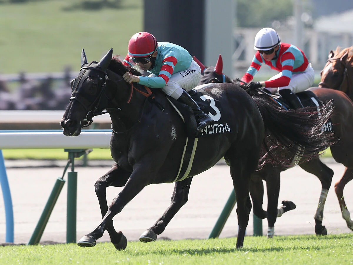 【競馬予想】高速決着必至の北九州記念　上り調子の「姉弟」が高額配当を運んでくる