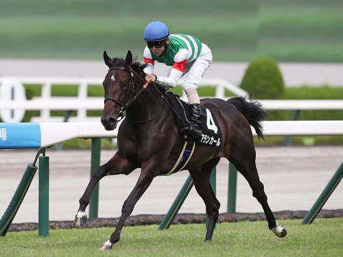 ＧＩ阪神ジュベナイルフィリーズで１番人気に推されたアランカールphoto by Eiichi Yamane/AFLO