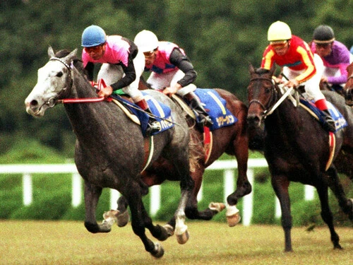 三冠最終戦の菊花賞でついに戴冠を遂げたビワハヤヒデ（青帽）photo by Sankei Visual