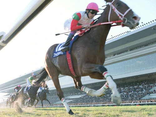 無傷の６連勝でＧＩエリザベス女王杯を制したファインモーションphoto by Kyodo News