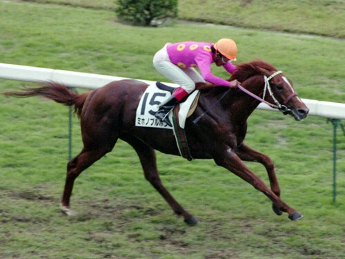 無敗でクラシック二冠を制したミホノブルボンphoto by Kyodo News