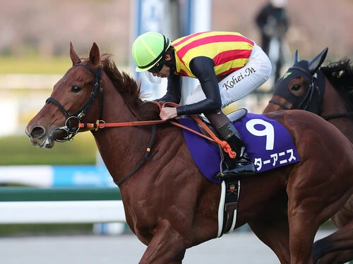 ＧＩ阪神ジュベナイルフィリーズを制して２歳女王に輝いたスターアニスphoto by Eiichi Yamane/AFLO