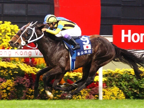 引退レースの香港ヴァーズで念願のＧＩタイトルを手にしたステイゴールドphoto by Sankei Visual