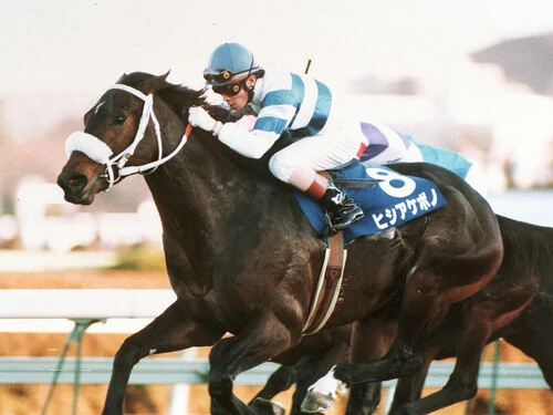 1995年のスプリンターズＳを完勝したヒシアケボノphoto by Sankei Visual