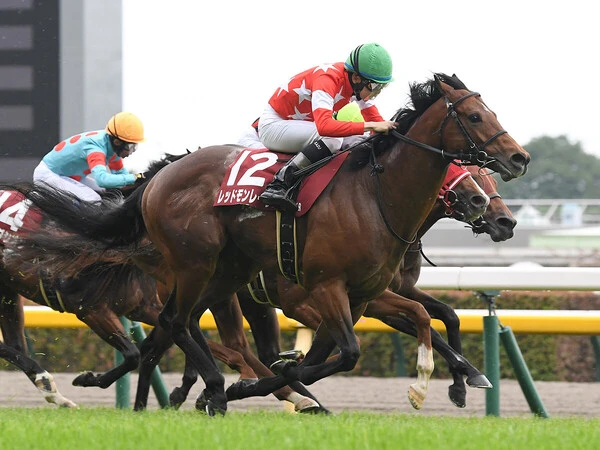 2023年の京王杯スプリングＣ以来の重賞勝ちを目指すレッドモンレーヴ　photo by Sankei Visual