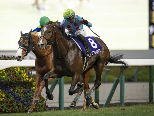 朝日杯FSを制して２歳王者に輝いたカヴァレリッツォ（黄帽）　photo by Koichi Miura