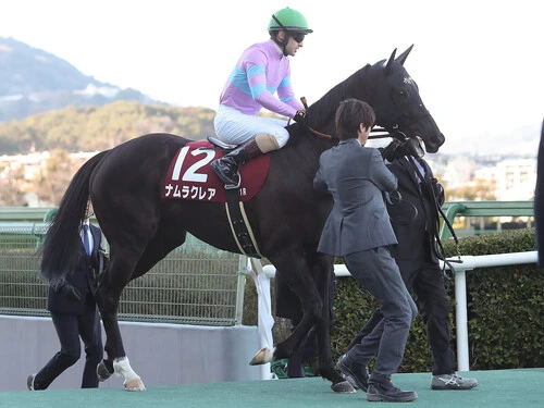 悲願のＧＩ制覇を狙うナムラクレア　photo by Eiichi Yamane/AFLO