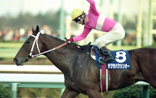 スプリンターズＳ連覇を果たして引退したサクラバクシンオー　photo by Sankei Visual