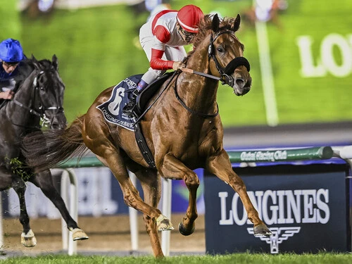大阪杯での戴冠を狙うダノンデサイル　photo by AP/AFLO