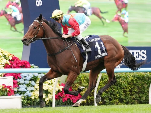 目下19連勝中と圧倒的な強さを誇るカーインライジング