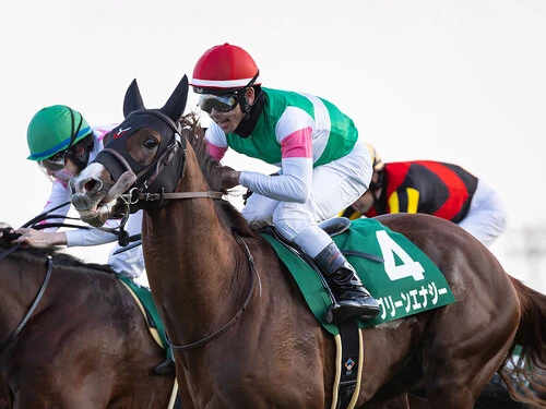 年明けの京成杯を快勝したグリーンエナジー　photo by Koichi Miura