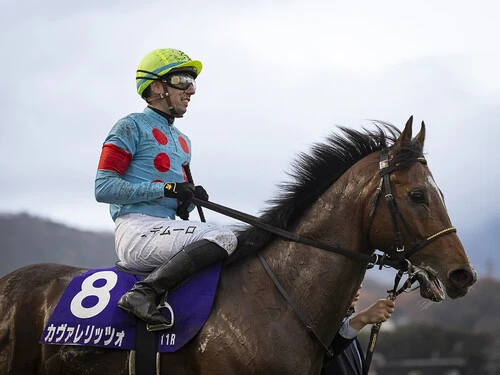 朝日杯FSからぶっつけで皐月賞に挑むカヴァレリッツォ　photo by Koichi Miura