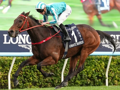 ８歳になっても衰えが見られないロマンチックウォリアー