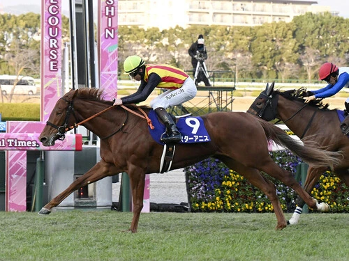 阪神JFを制して２歳女王となったスターアニス　photo by Kyodo News