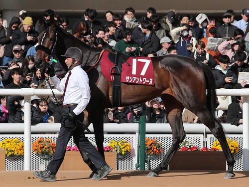 桜花賞での大駆けが期待されるサンアントワーヌphoto by Eiichi Yamane/AFLO