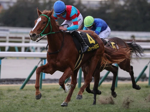 エルフィンＳを勝って桜花賞へ向かうスウィートハピネス　photo by Eiichi Yamane/AFLO