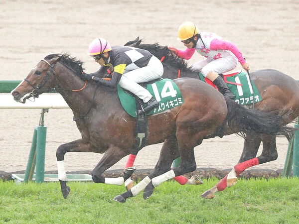 前走のＧⅢチャーチルダウンズＣを勝利したアスクイキゴミ　photo by Sankei Visual