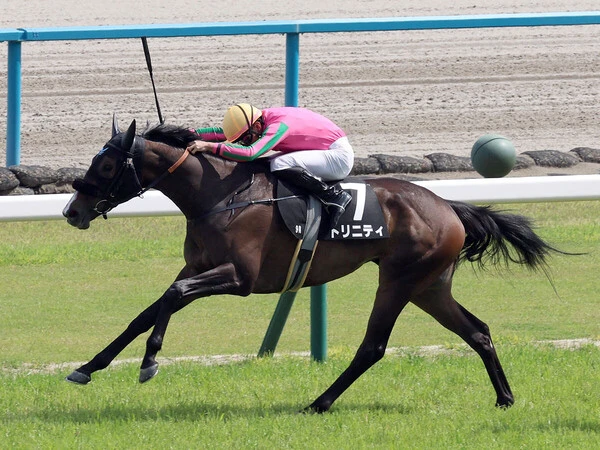 ２勝でオークスを迎えたトリニティ　photo by Sankei Visual