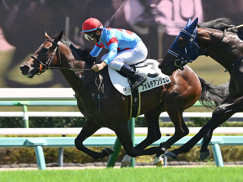ダービーでの大駆けが期待されるフォルテアンジェロphoto by Sankei Visual