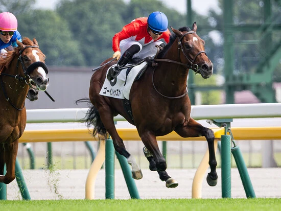 ダービーに向けて注目度が増しているゴーイントゥスカイ　photo by Koichi Miura