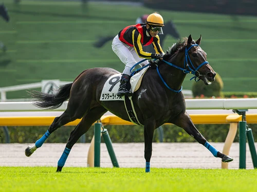一躍オークスの有力候補に浮上したラフターラインズ　photo by Koichi Miura
