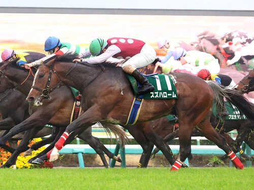 安田記念での一発が期待されるスズハローム　photo by スポーツ報知/アフロ