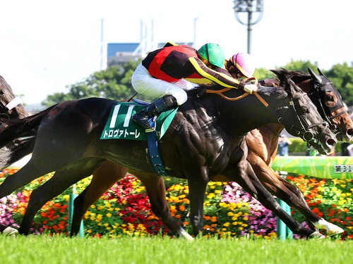 安田記念での勝ち負けが見込まれているトロヴァトーレ　photo by スポーツ報知/アフロ