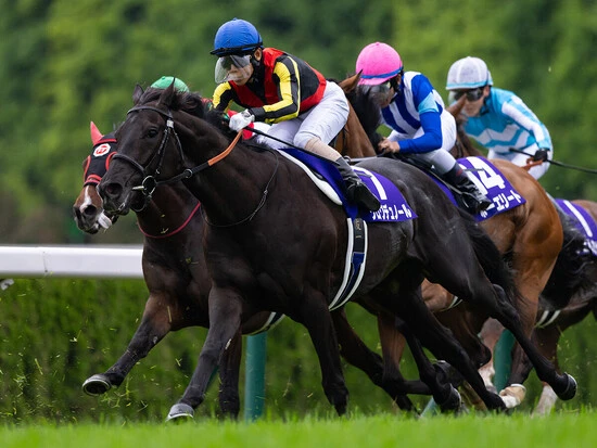 天皇賞の春秋制覇を狙うクロワデュノール　photo by Koichi Miura