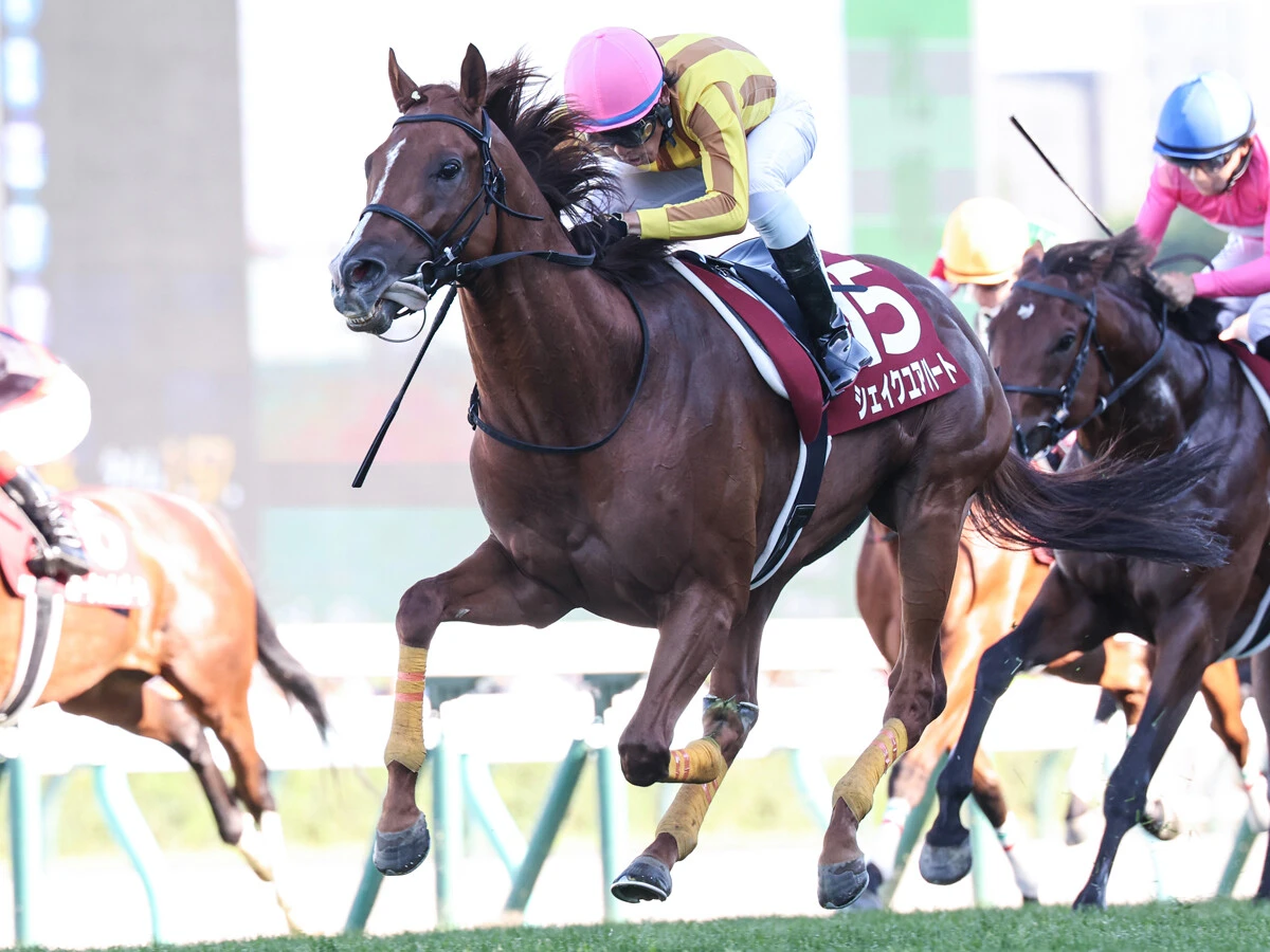【競馬予想】天皇賞・秋で注目すべき血統は？　本命は過去５年の勝ち馬と共通の血を持つ６歳馬