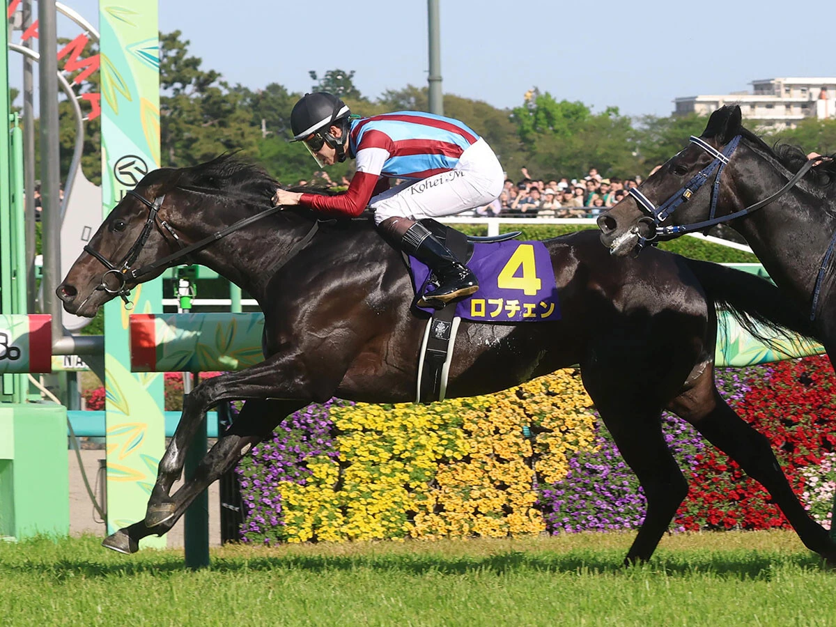 【競馬予想】日本ダービーの本命・ロブチェンの信頼度を血統で分析　