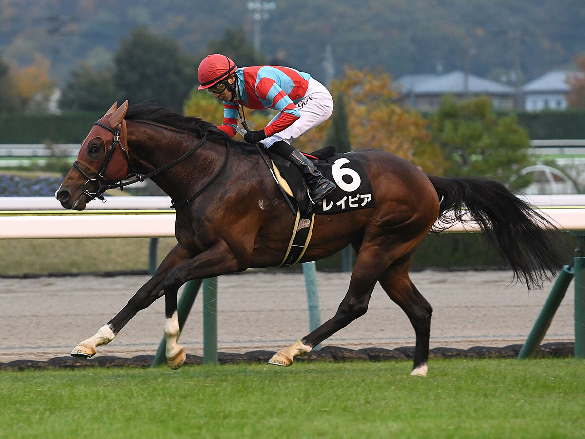 【競馬予想】秋のＧⅠ開幕戦、スプリンターズＳで注目の血統は？　本命は多くのスプリンターの血を引く４歳馬