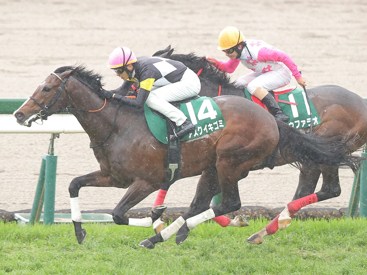 【競馬予想】NHKマイルＣの狙い目を血統でチェック　年明けデビュー馬の無傷の３連勝はある？