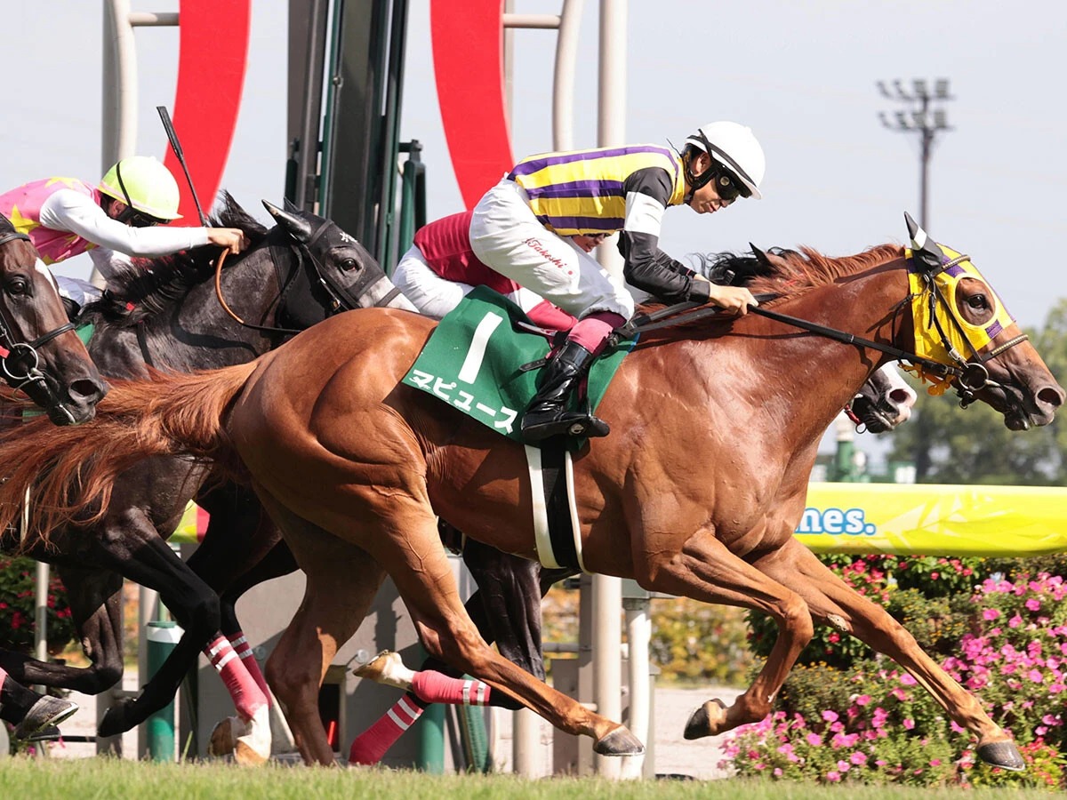【競馬予想】実力馬ぞろいのヴィクトリアマイルで抜け出すのは？　注目は人気薄から好走する「穴血統」