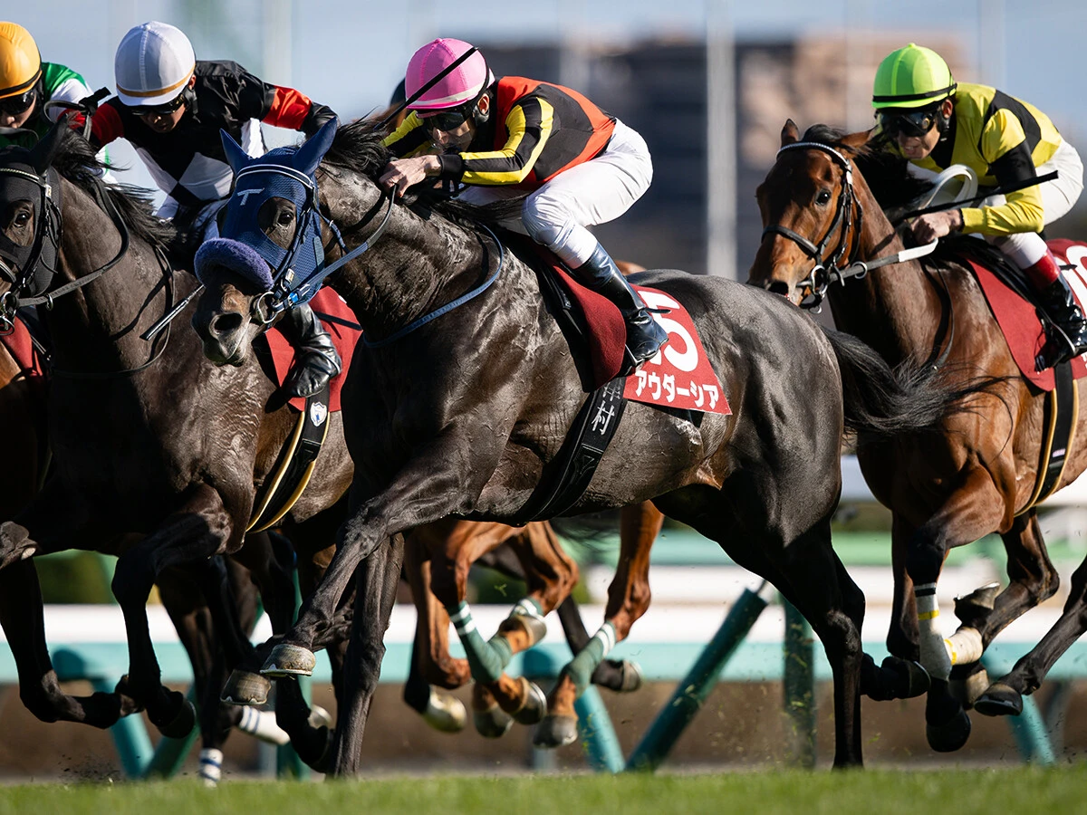 【競馬予想】菊花賞はロブチェンで絶対ではない　秋華賞でギャラボーグの激走を見抜いていた元ジョッキーの狙い目