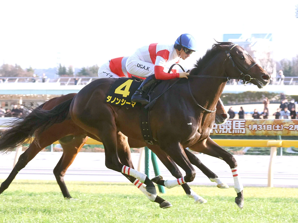 【競馬予想】ＧⅠ馬５頭が集結した新潟記念　極限の末脚の持ち主が豪華メンバーにひと泡吹かす