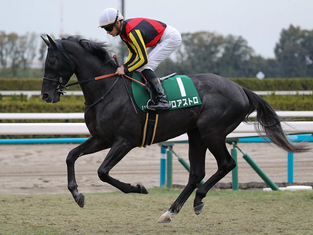 【競馬予想】豪華メンバーがしのぎを削る新潟記念　人気薄の実力派２頭が好配当を演出か