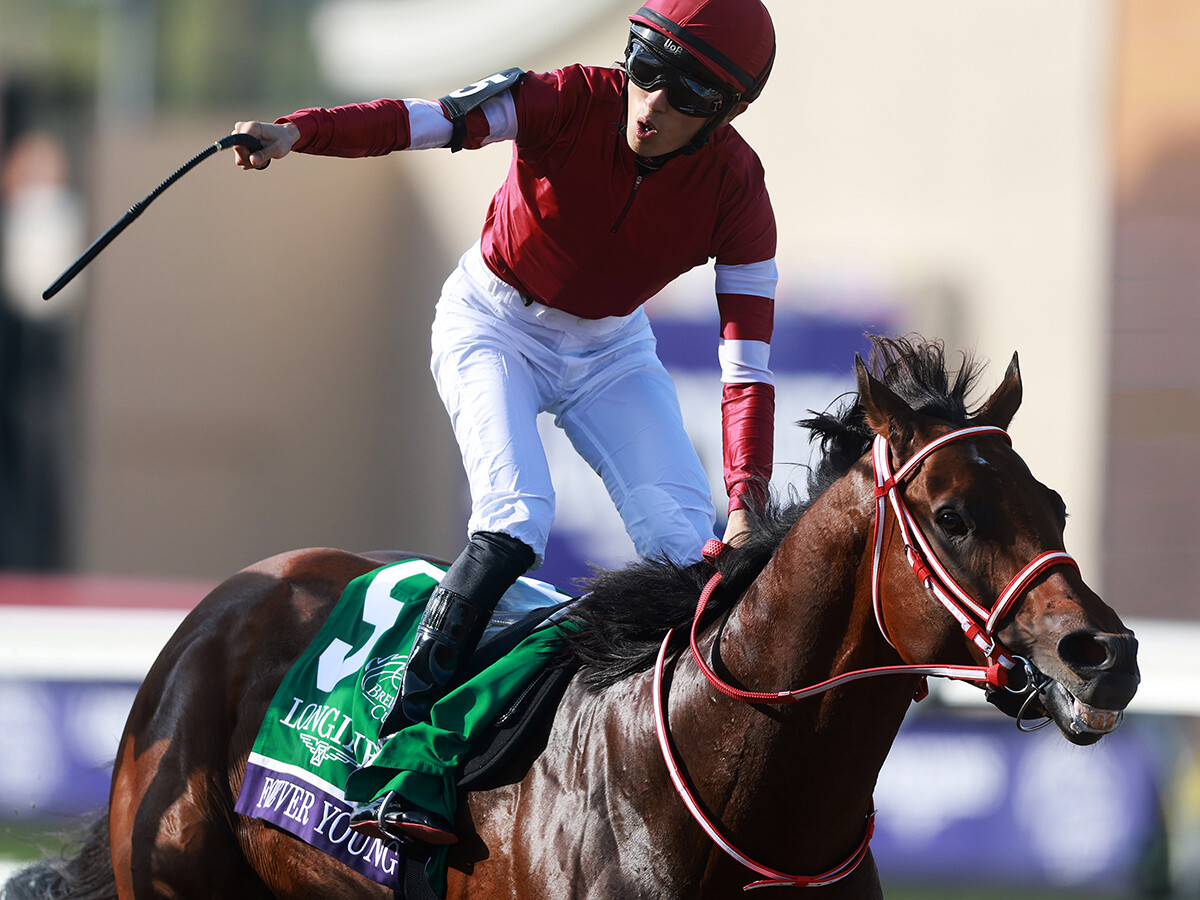 まもなく発表されるJRA賞　フォーエバーヤングはダート馬初の年度代表馬になれるか