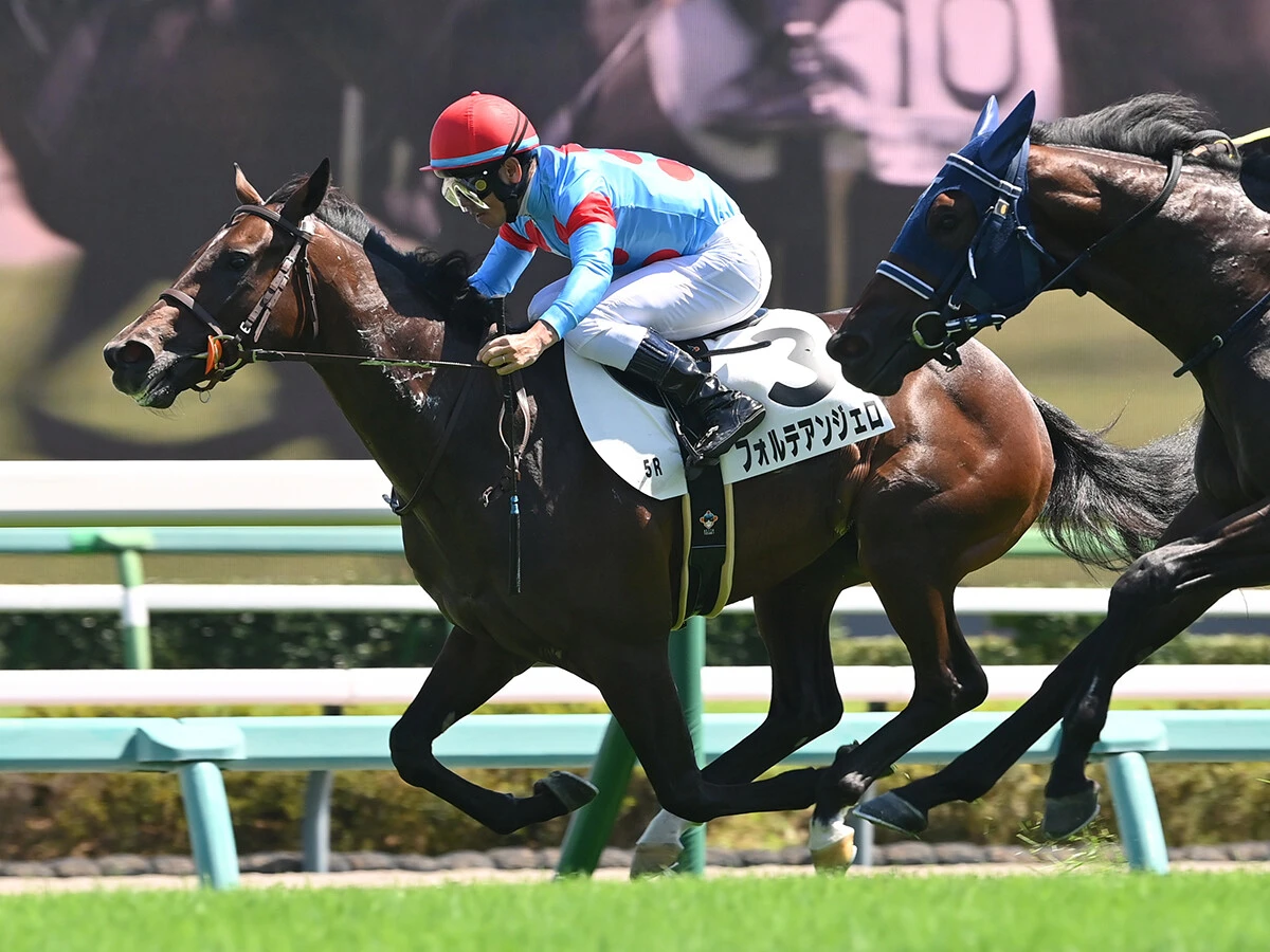【競馬予想】日本ダービーは「２強」が中心も、展開次第では決め手ある伏兵が高配当を演出か　「面白い馬が２頭いる」
