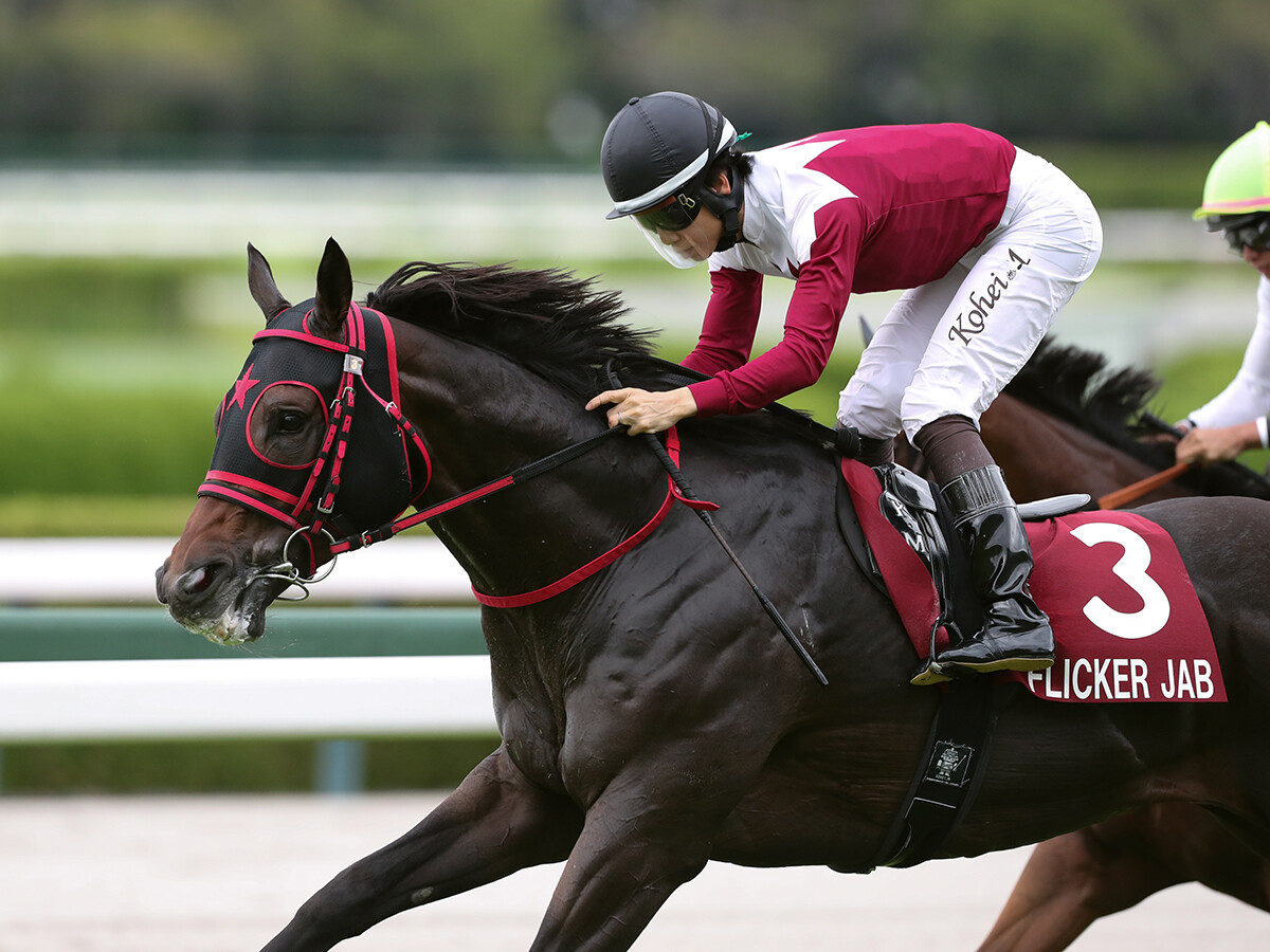 【競馬予想】スプリンターズＳ、"上がり馬"フリッカージャブの勢いはホンモノか　前哨戦は「確かに強かったが...」